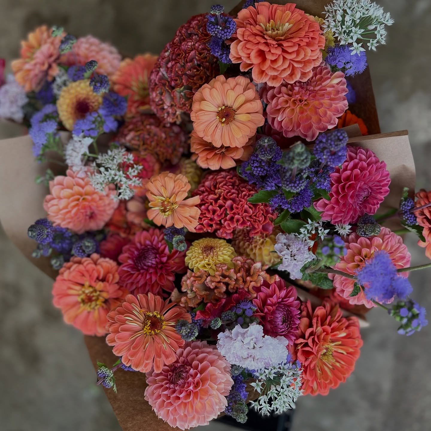 Fall is here and flowers perked up thanks to the quenching rain we had the past 2 weeks. It feels like we are heading for the climax of fall flower beauties. 
I will be leading a flower arrangement workshop with all the fall beauties on Oct 10 6-8 pm