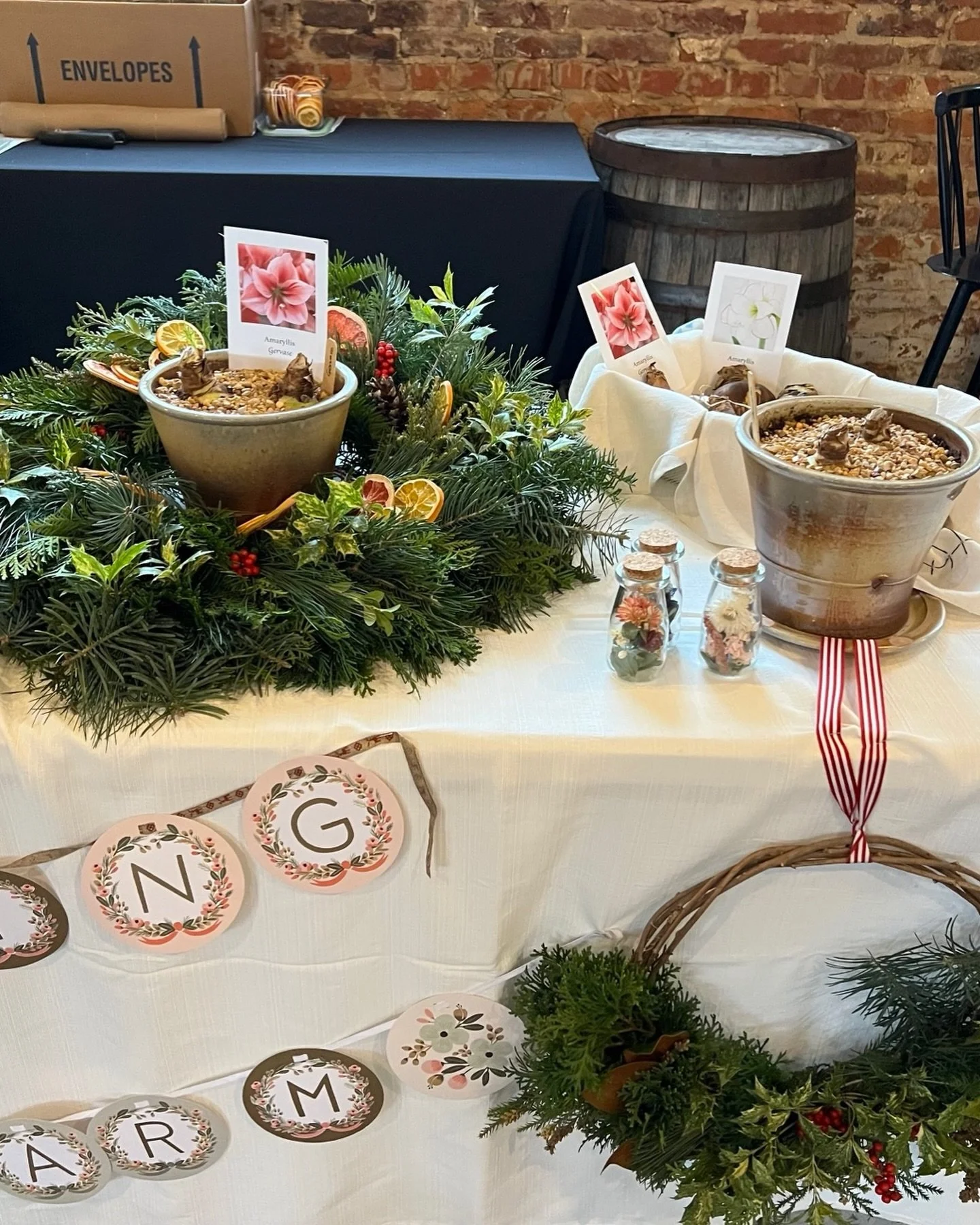 This Sunday find us @tenthwardco Brunch Bazaar holiday market! Brunch food offerings, unique gifts and goodies, breakfast inspired beverages. We will be bringing winter blooms that you can grow and enjoy - paperwhite, amaryllis, and pre-chilled tulip
