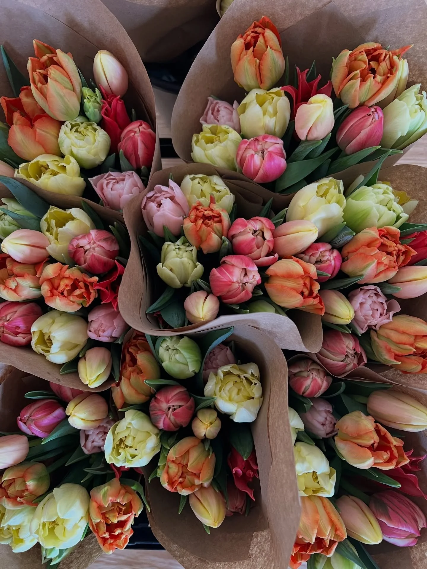 Here&rsquo;s to the beauty and joy that winter tulips have brought us and to the spring blooms that are just around the corner.

I am so grateful for all my CSA customers, my gracious CSA hosts @tenthwardco @potomac_river_interiors @dogwoodgnrl, fell