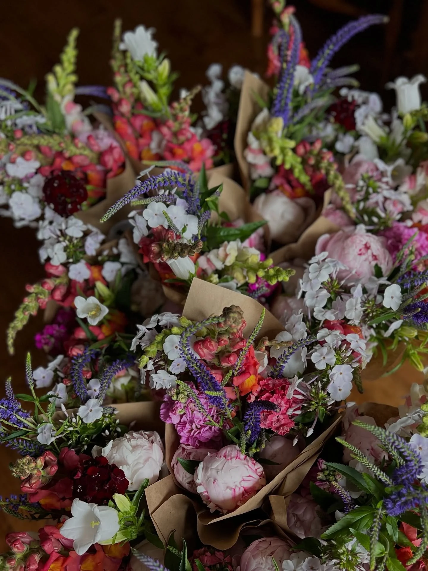 Flowers from last spring featuring CSA bouquets. Momo, Malcolm, and other photos that I should have shared last year. ;)

You can pick up out bouquets at
@tenthwardco
@potomac_river_interiors
@dogwoodgnrl 

Let spring roll in with flowers.