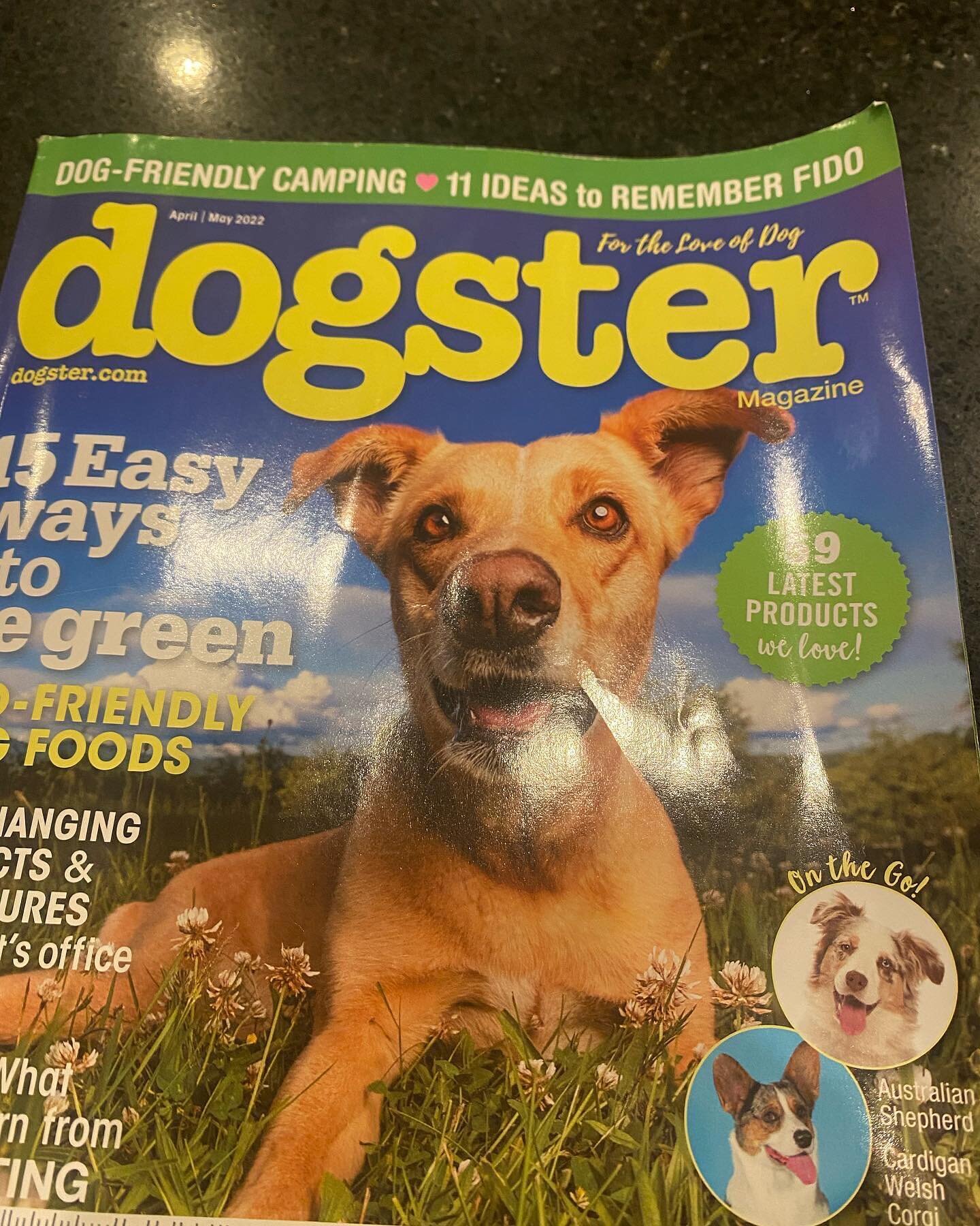 So pleased to be featured in an article in the New issue of Dogster magazine ❤️🌈 #petloss #petbereavement #petbereavementcounsellor #petbereavementsupportservice #rainbowbridge #petfuneral #petfunerals #petsarefamily #petchaplain