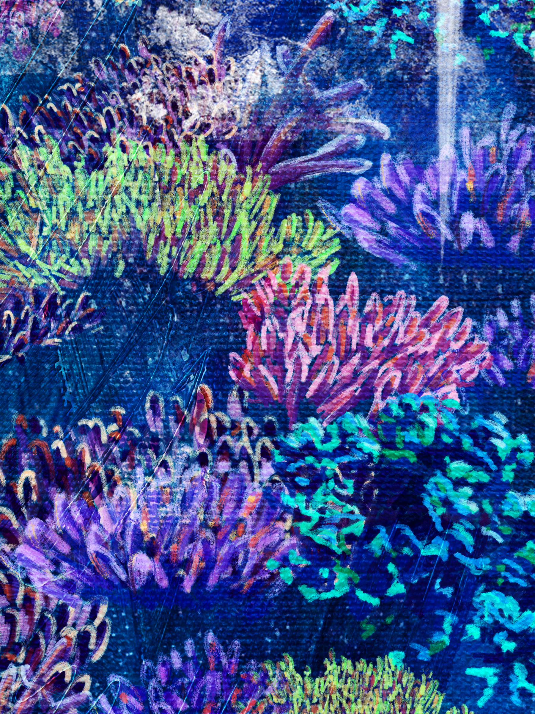 artezoom150dpi.jpg