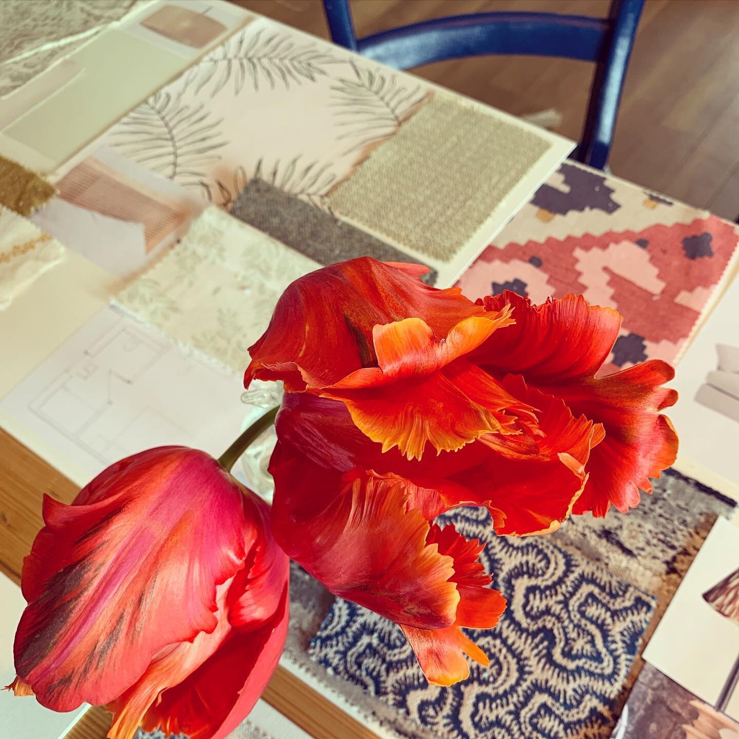 Moodboards make my day 

#wallpaperwednesday #moodboard #interiordesign #northnorfolk #tulip #coastalhome #katethomsondesign