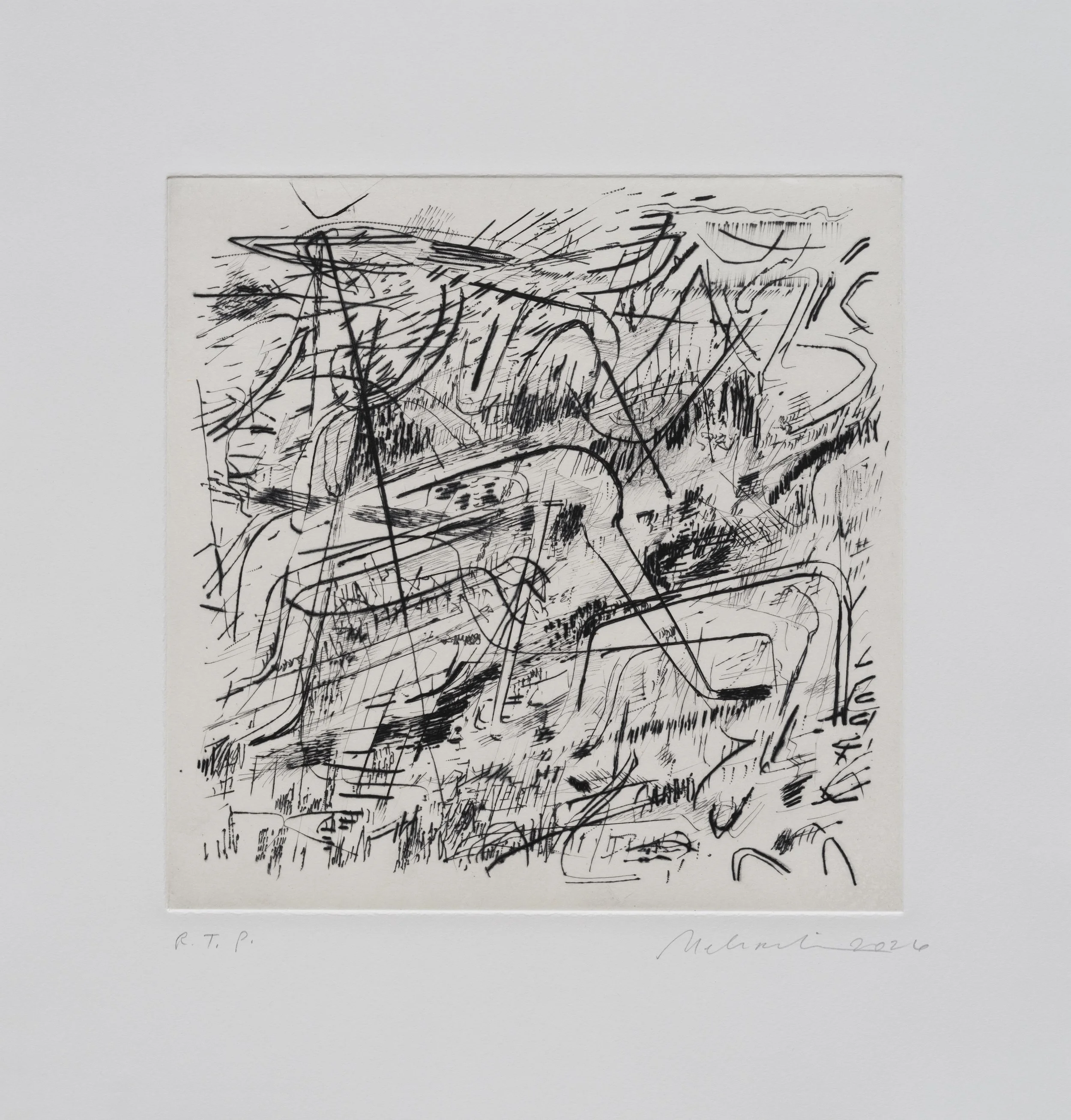 JULIE MEHRETU