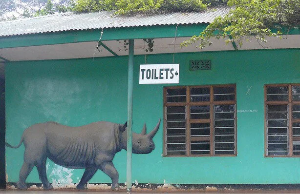 “Windows and Doors” at Sebastopol Center for the Arts