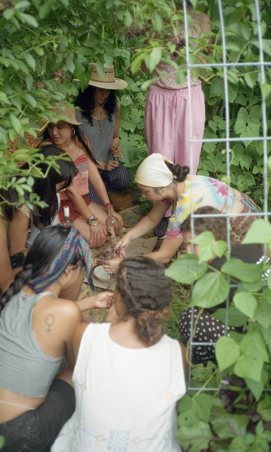 Photography by Adam Anorga.