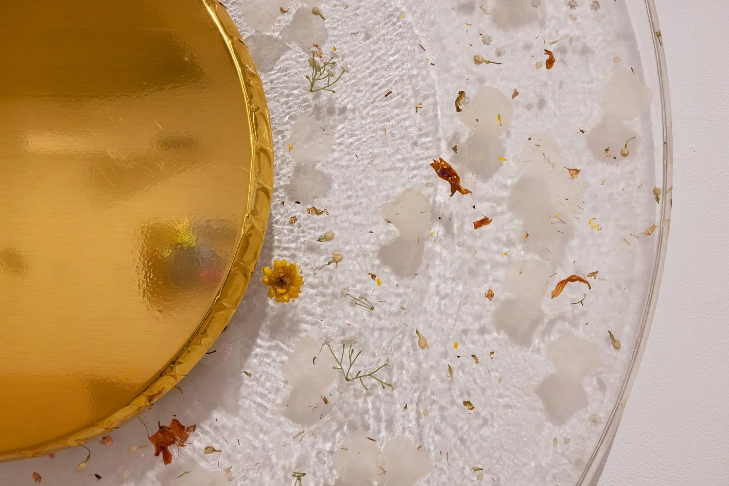 JAMICA EL SELECT 2.jpg