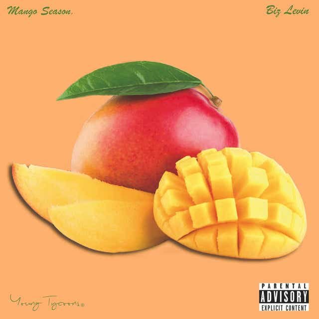 4. Biz Levin "Mango Season"
