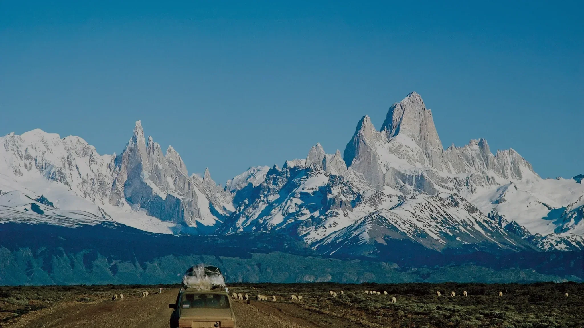 Case Study: Patagonia and the Business of Responsible Innovation