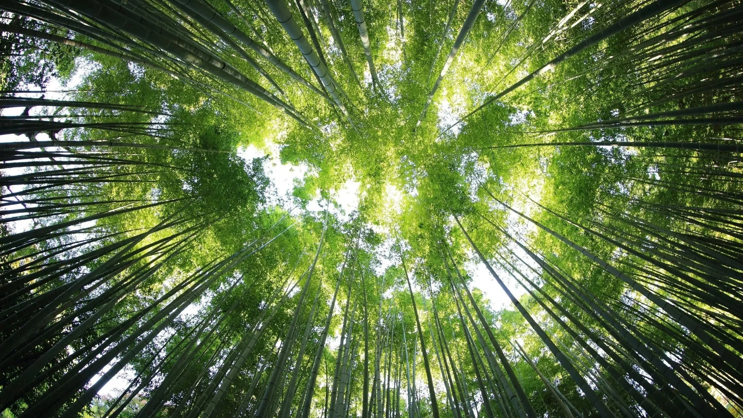 Sustainable and Responsible Innovation: Designing for the World We Actually Want
