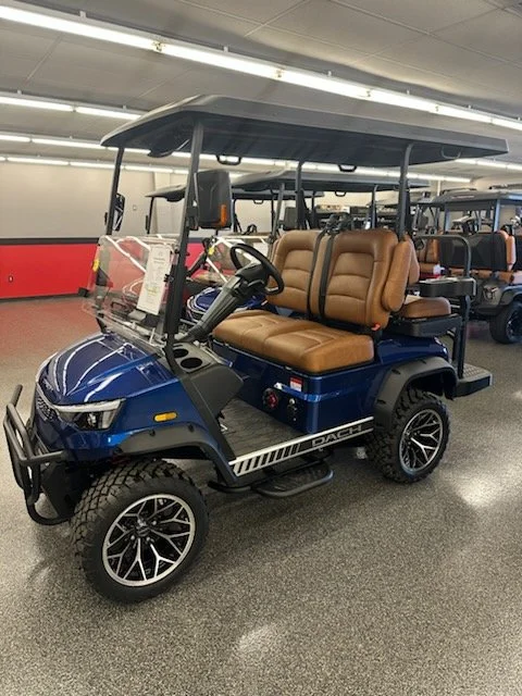 falcon brown blue-2.jpg