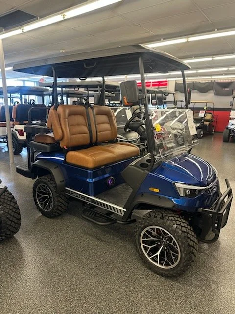 falcon brown blue-4.jpg