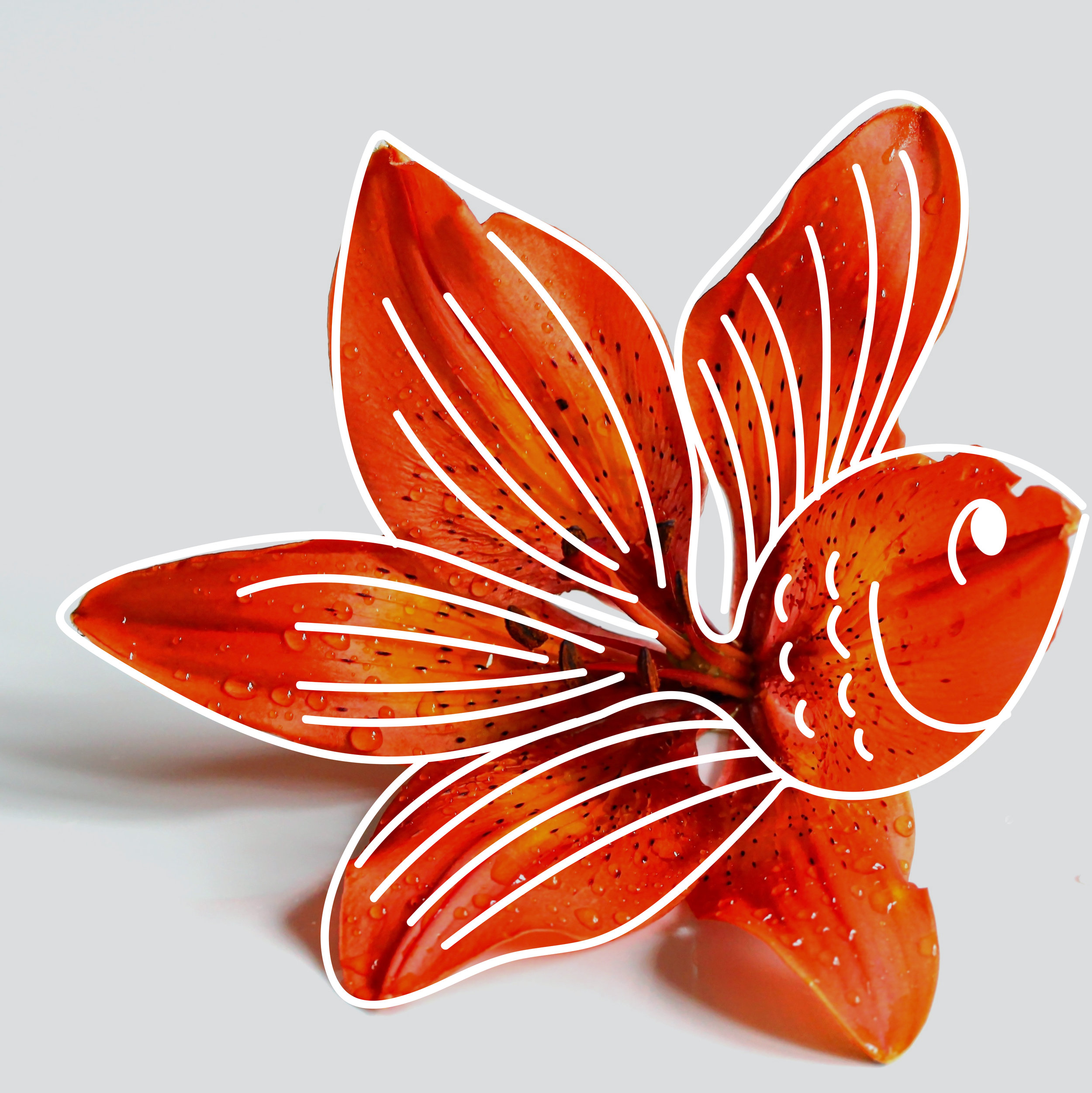 1- flower goldfish.jpg