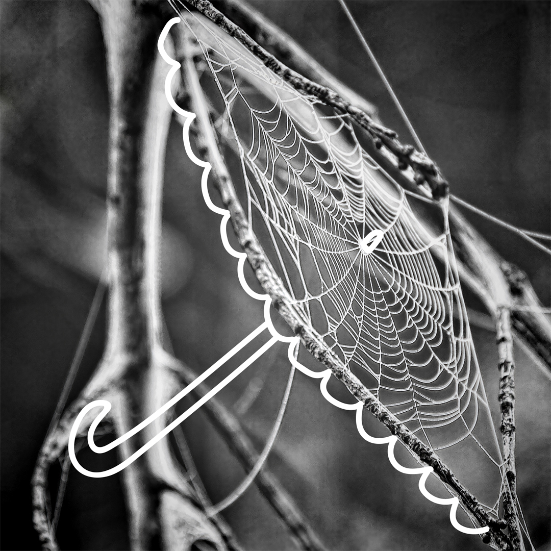 2 - spiderweb parasol.jpg