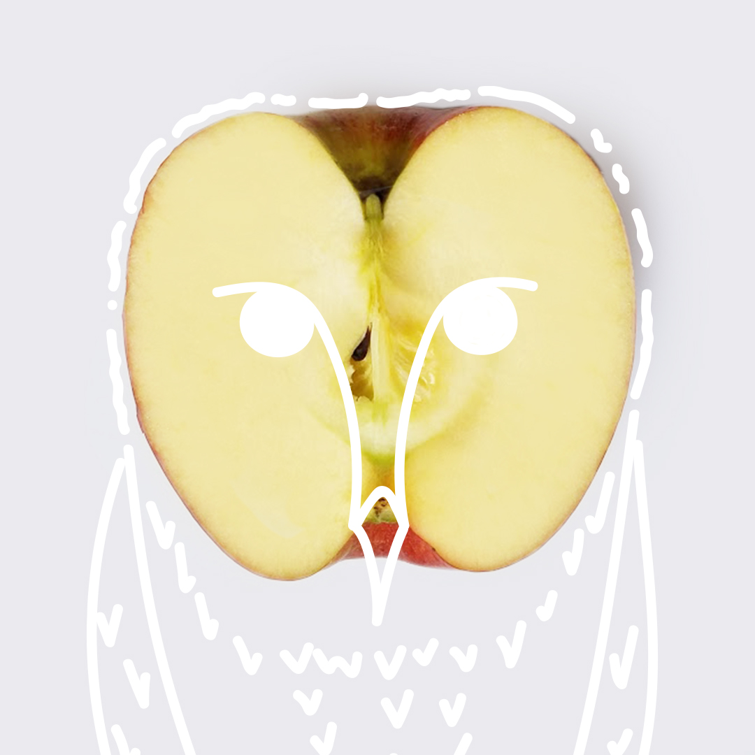2- apple owl.jpg