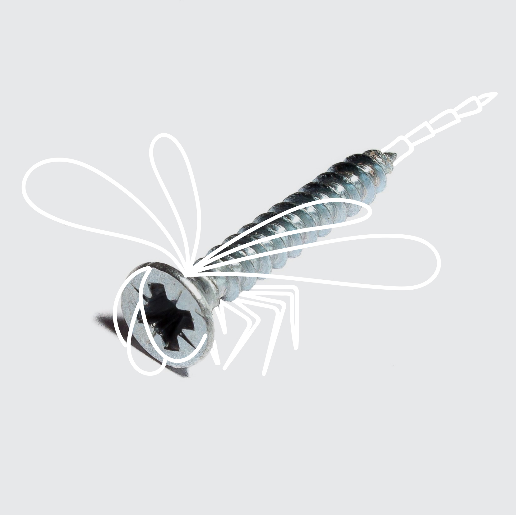 2- screw dragonfly.jpg