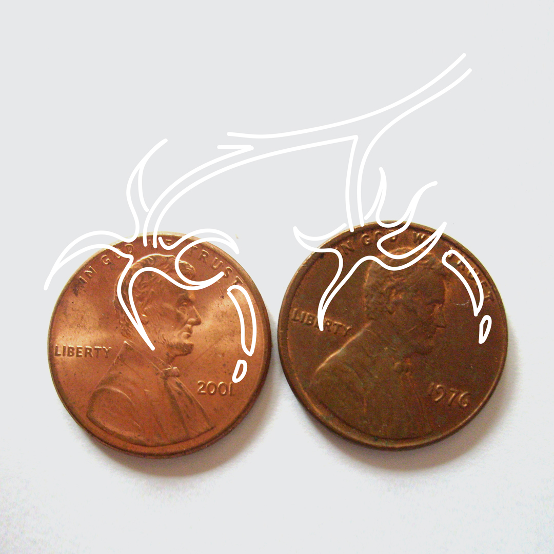 2- tomato penny.jpg