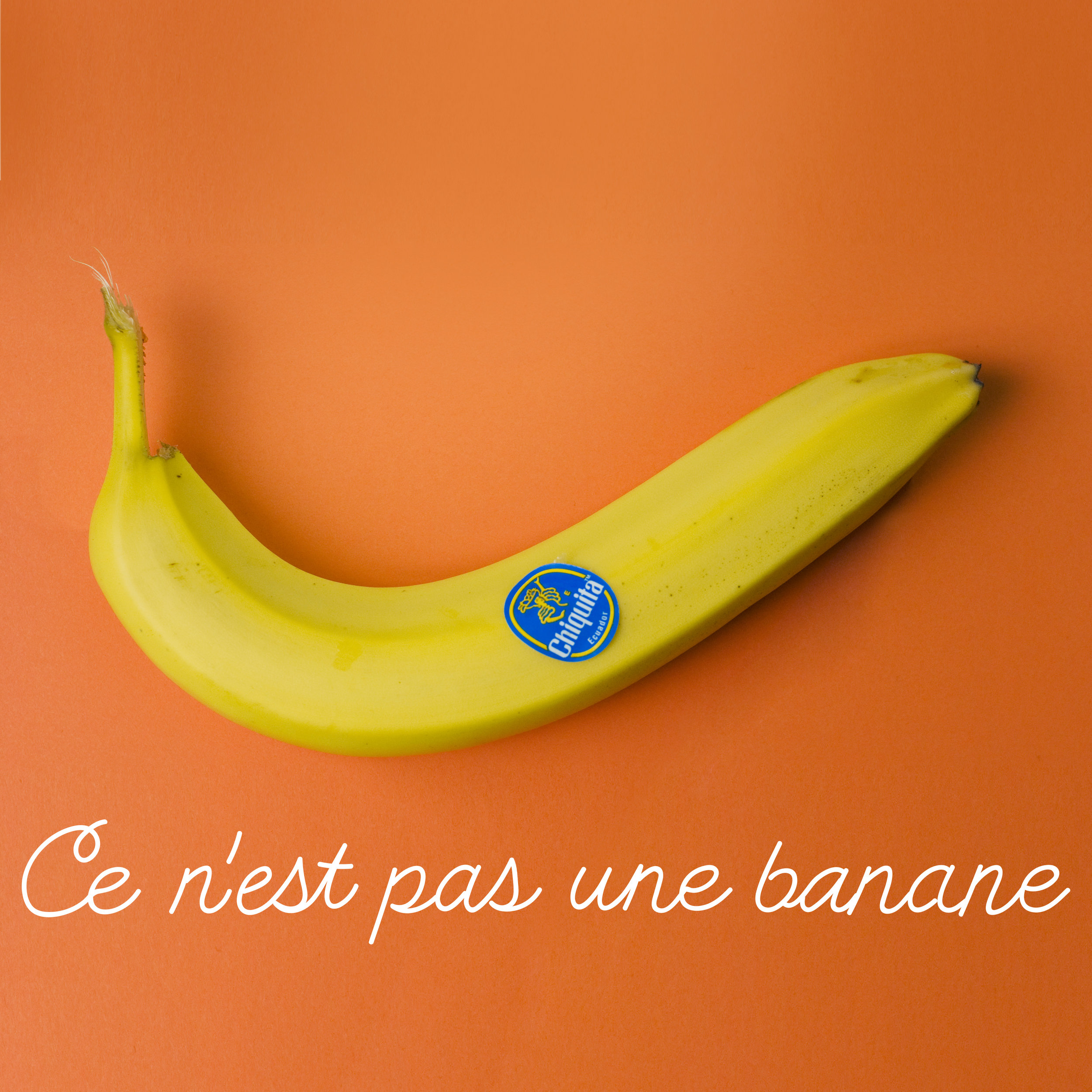 2- not a banana.jpg