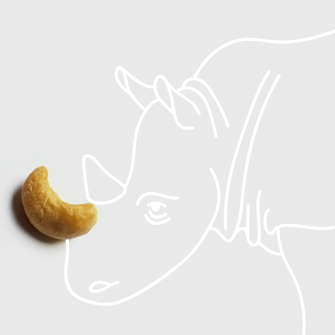 4- cashew rhino.jpg