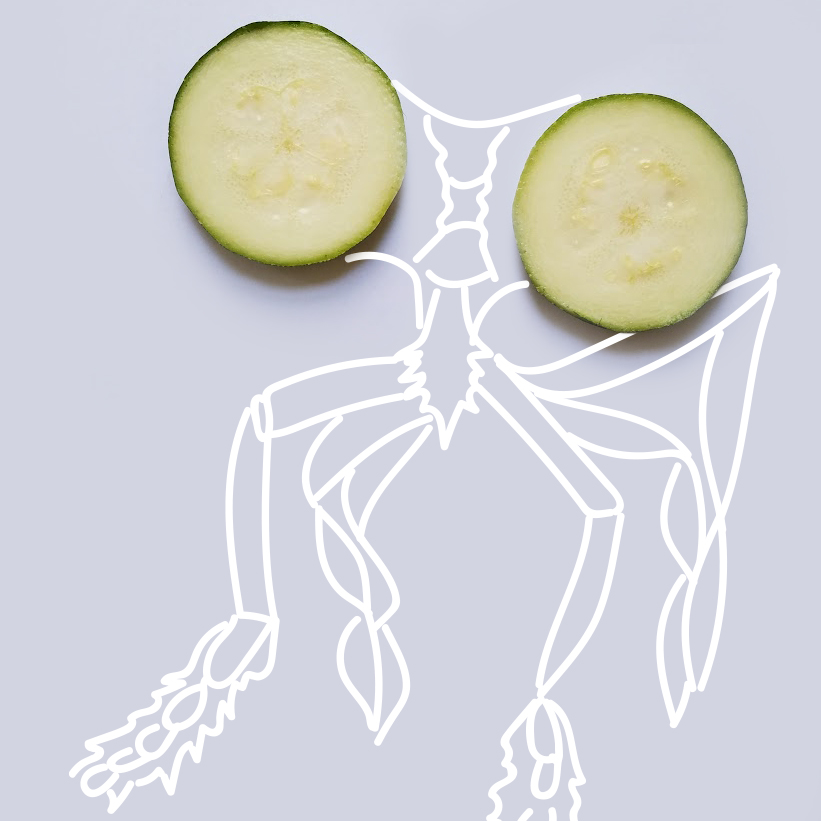 5 - zucchini insect eyes.jpg