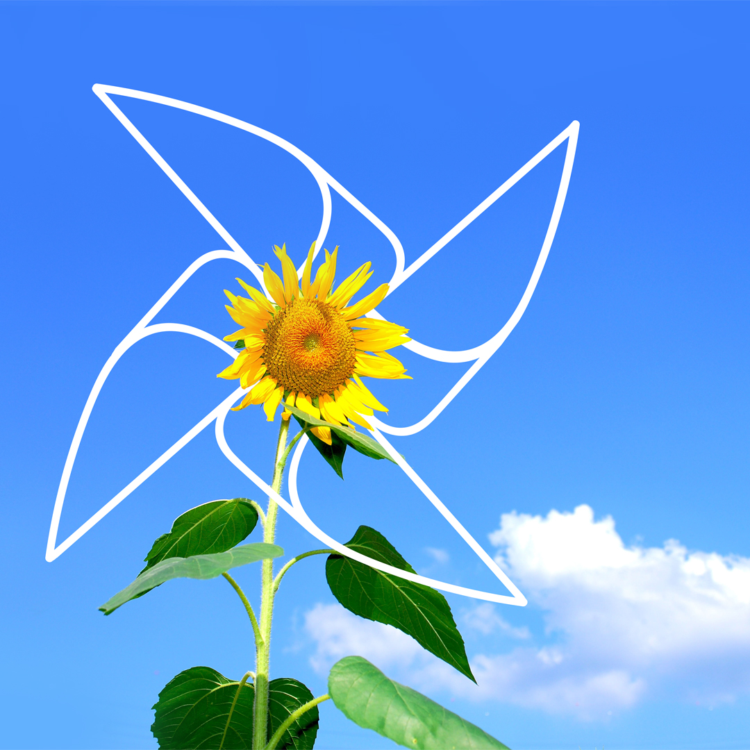 5 - sunflower pinwheel.jpg