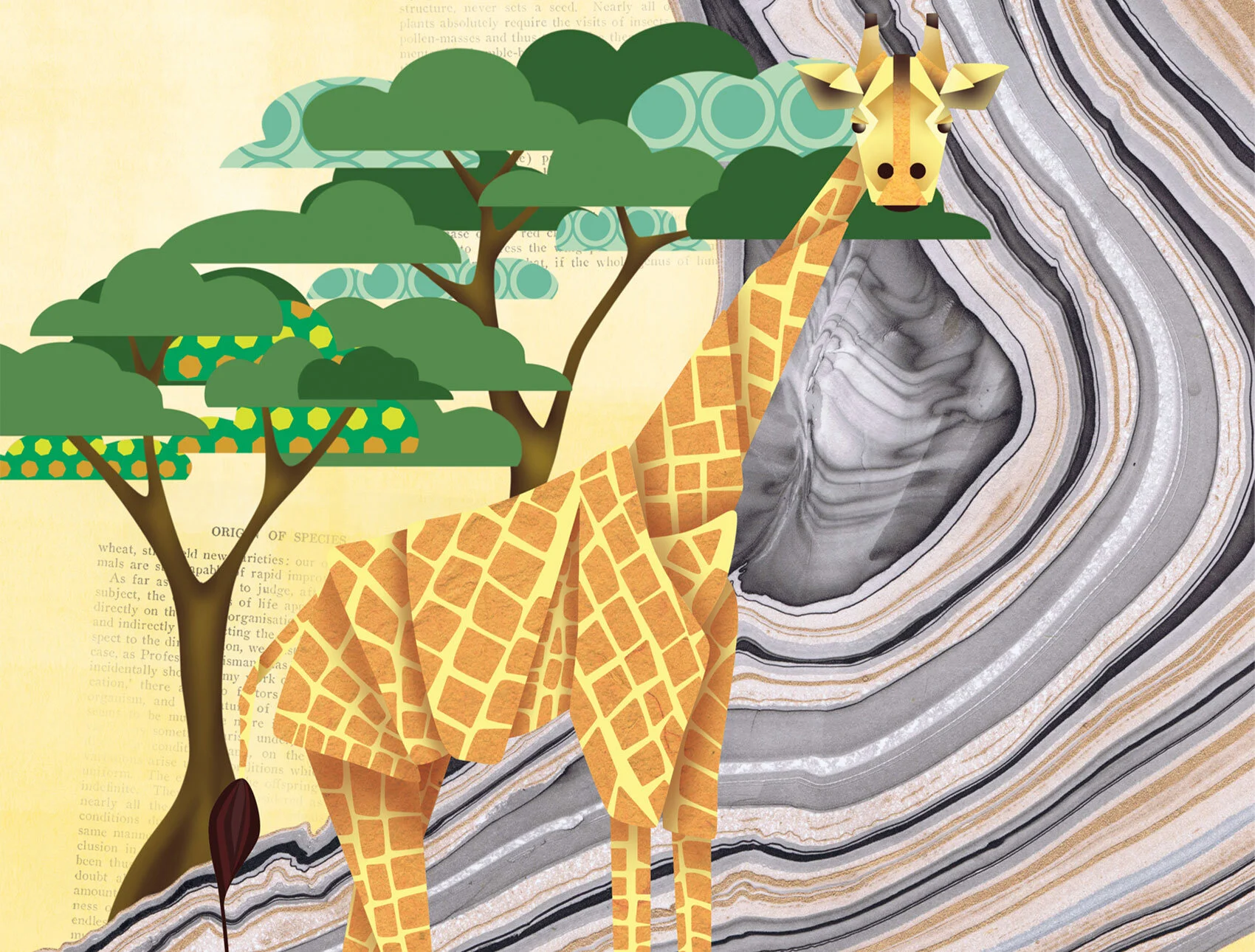 giraffe.jpg