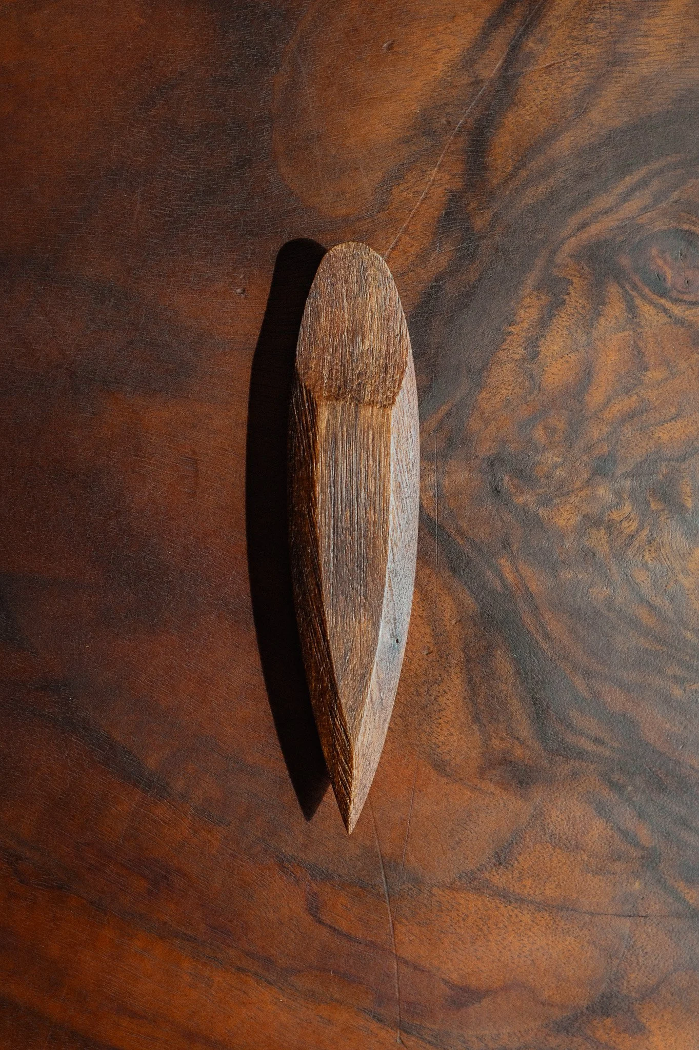 Cicada Sculptor