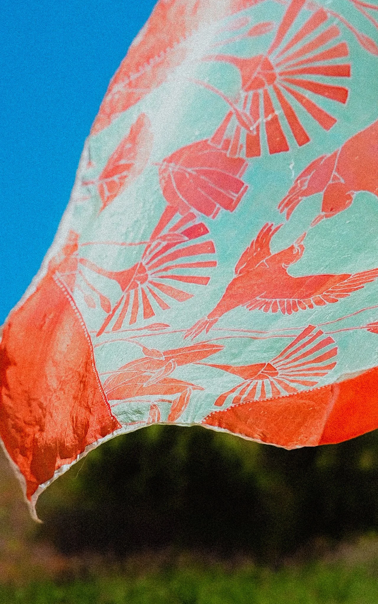 DSC_7477.jpg