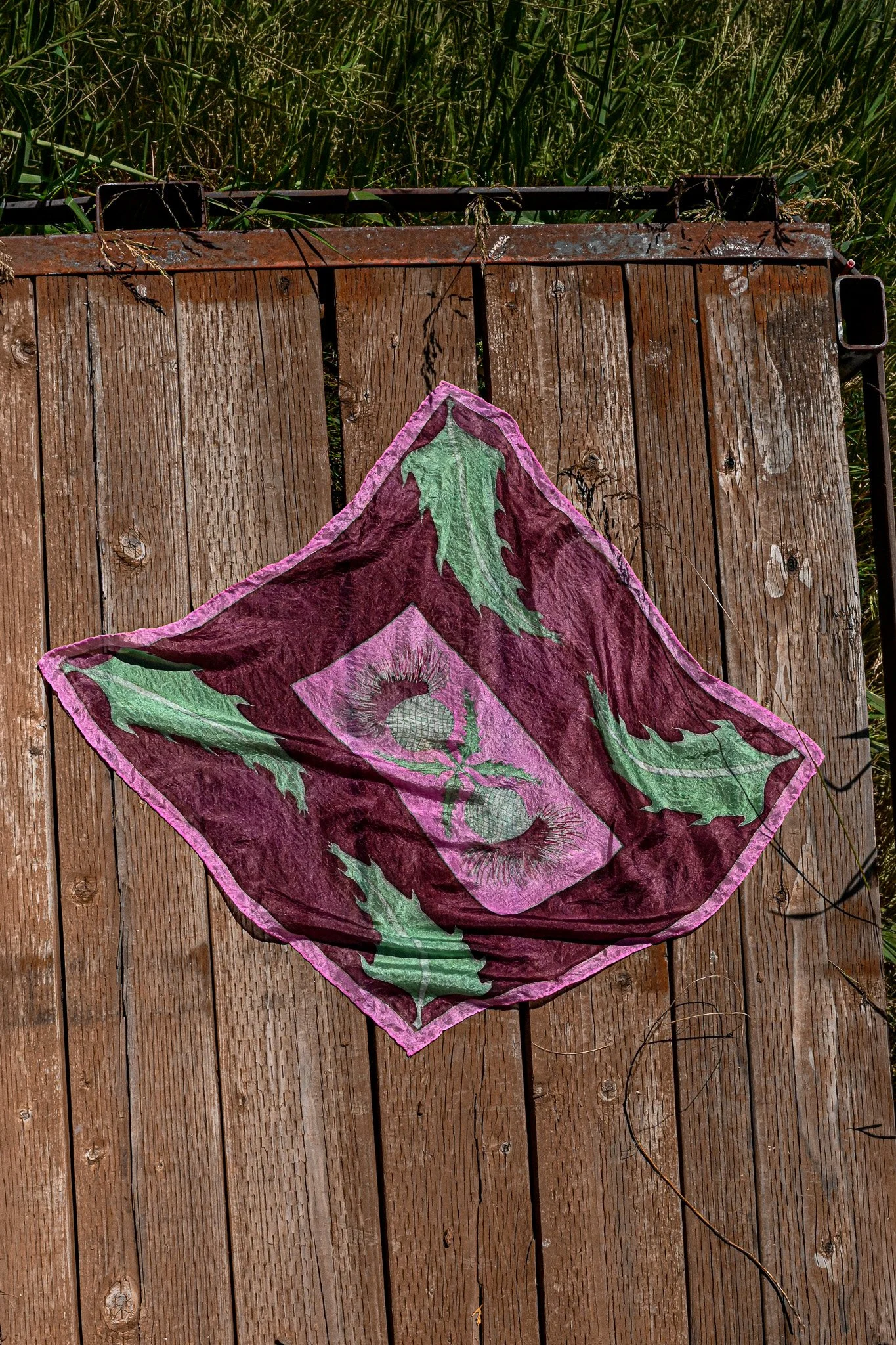 DSC_7366.jpg