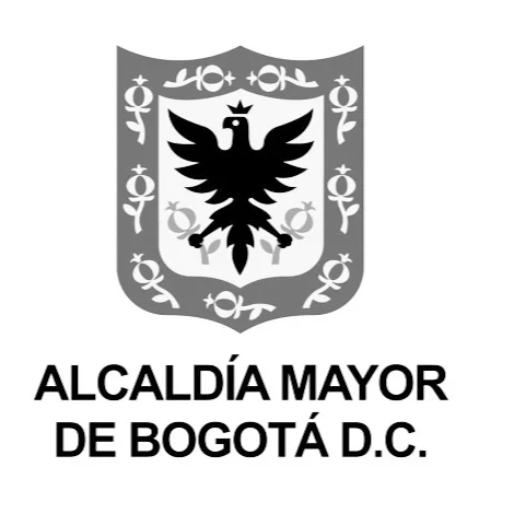 bogota copia.jpg