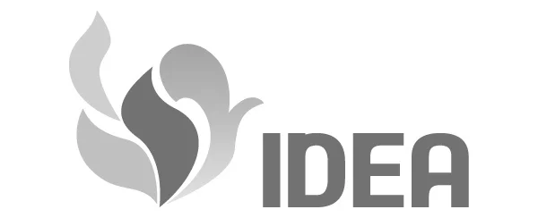IDEA.png