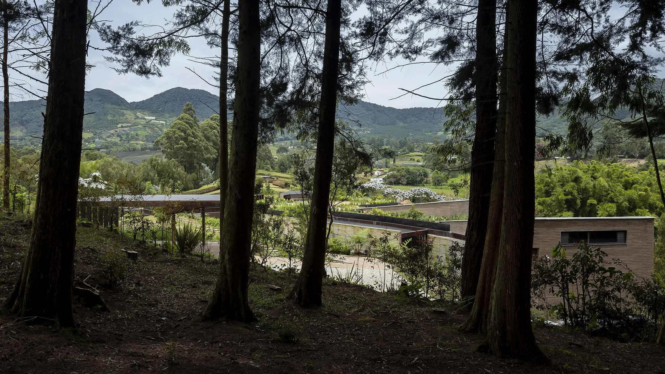 ARQ-La Pausa — opus - diseño arquitectura paisaje