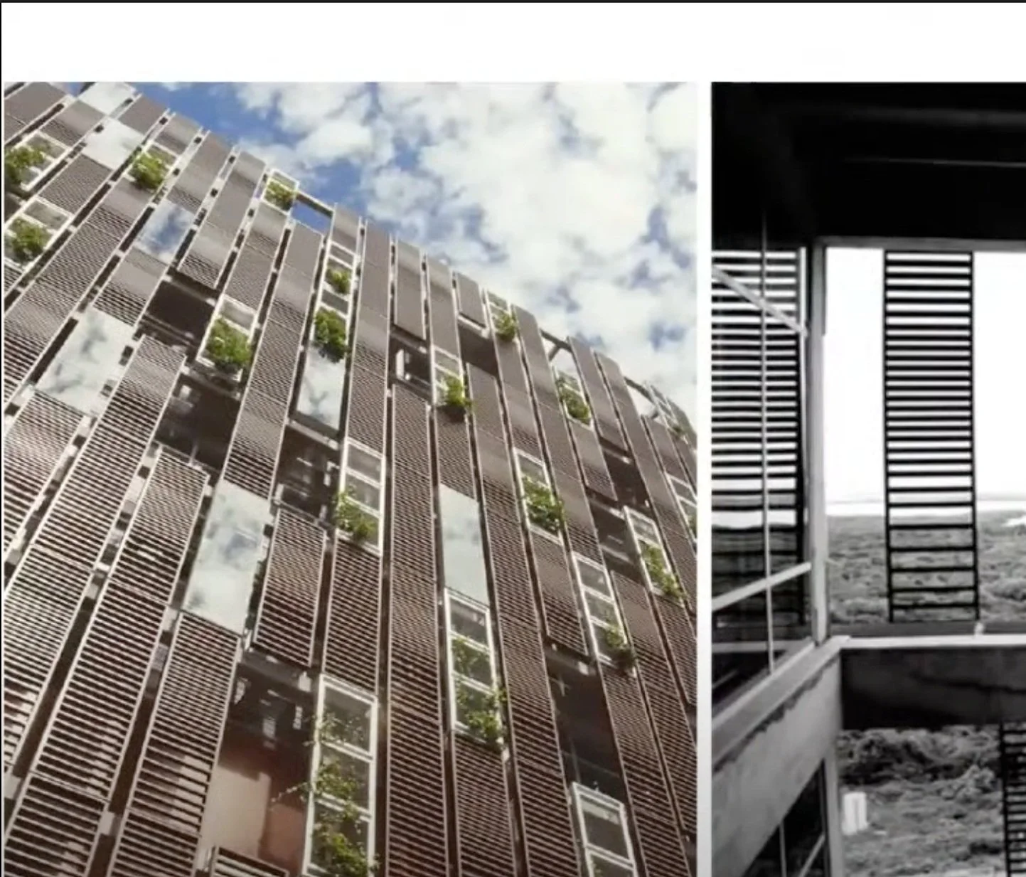 Screen Shot 2022-07-07 at 10.43.13 AM.jpg