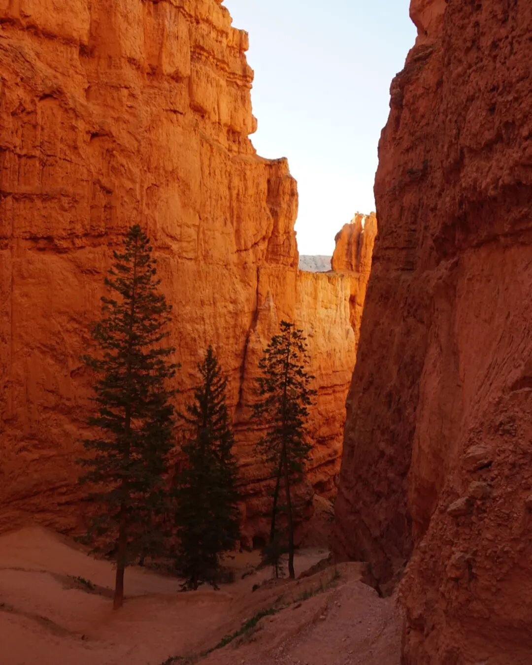 Lucas really messed up by not filming Star Wars at Bryce Canyon.