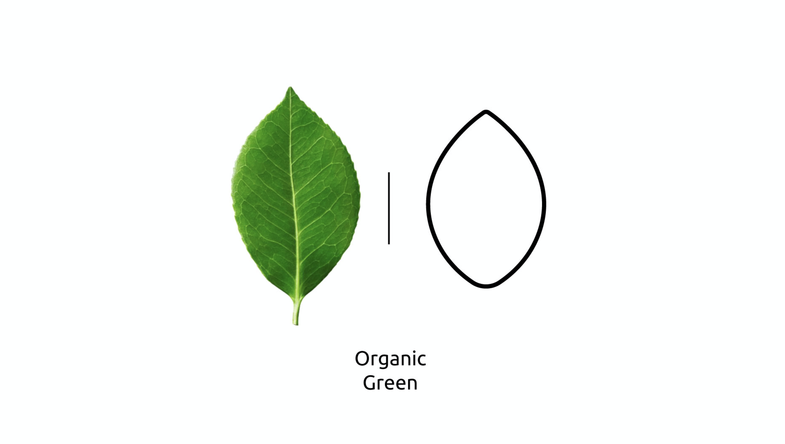 Organic.png
