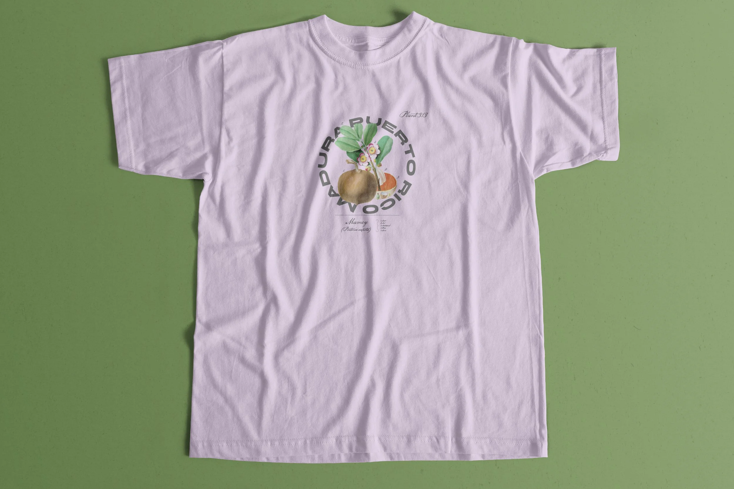 Shirt Pink.jpg