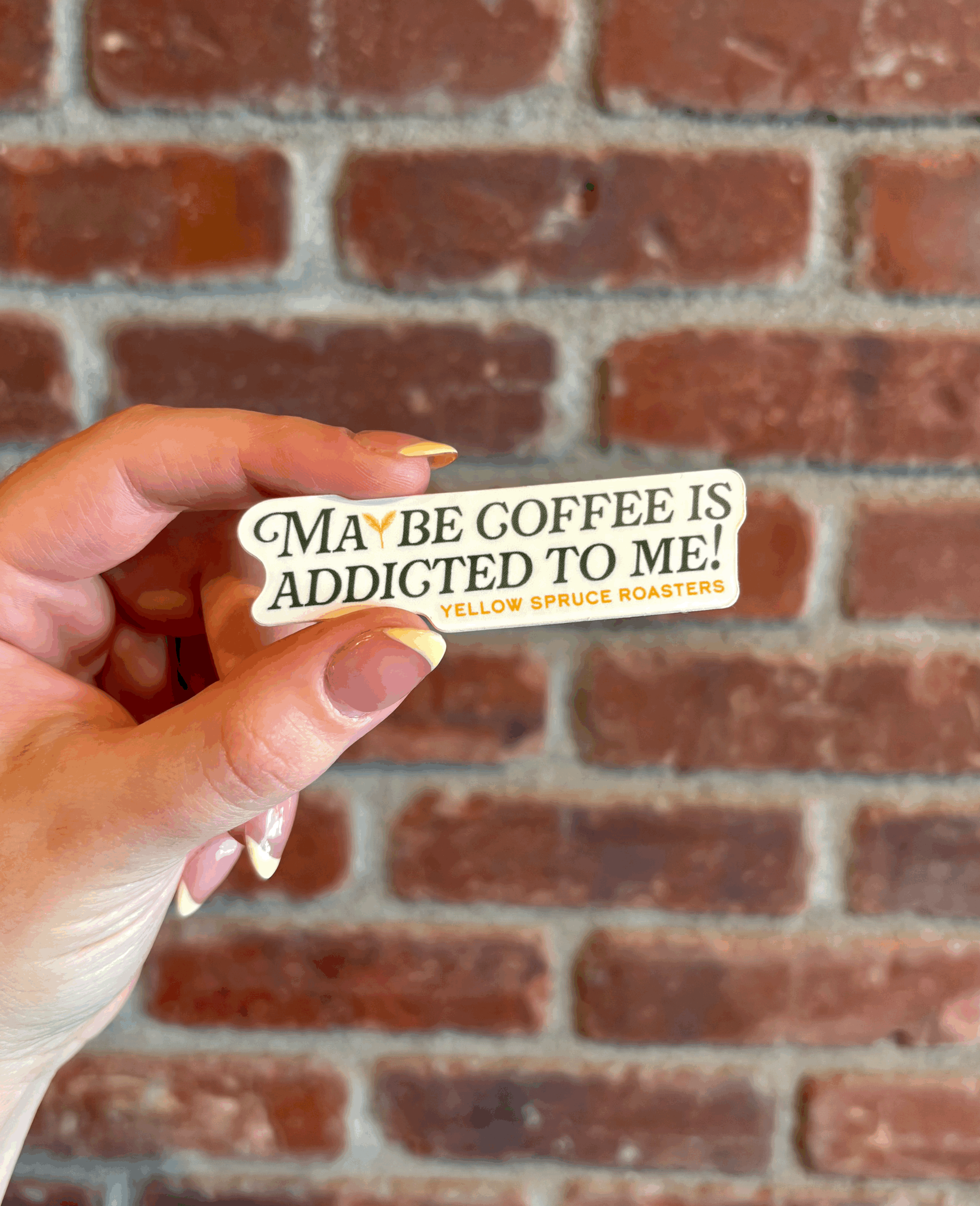 Maybe Coffee Is Addicted To Me Sticker