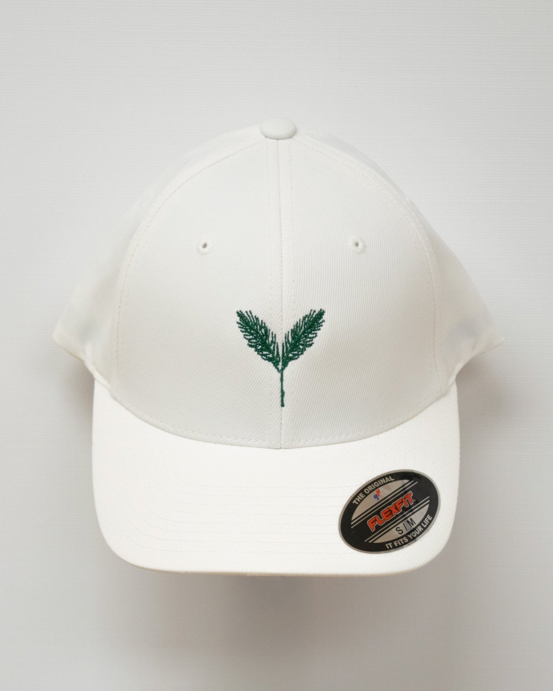 MensWhiteHat1.jpg