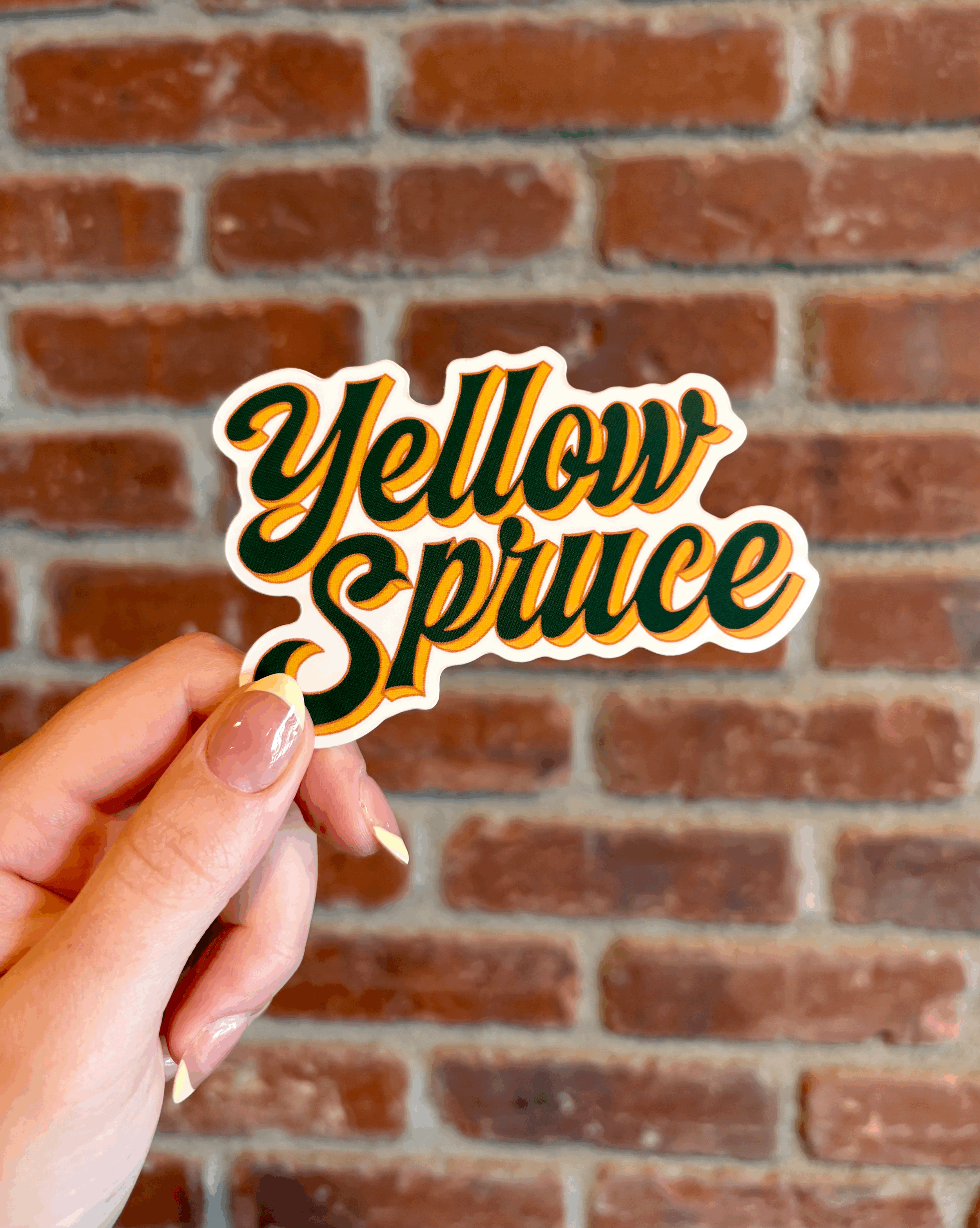 Yellow Spruce Sticker