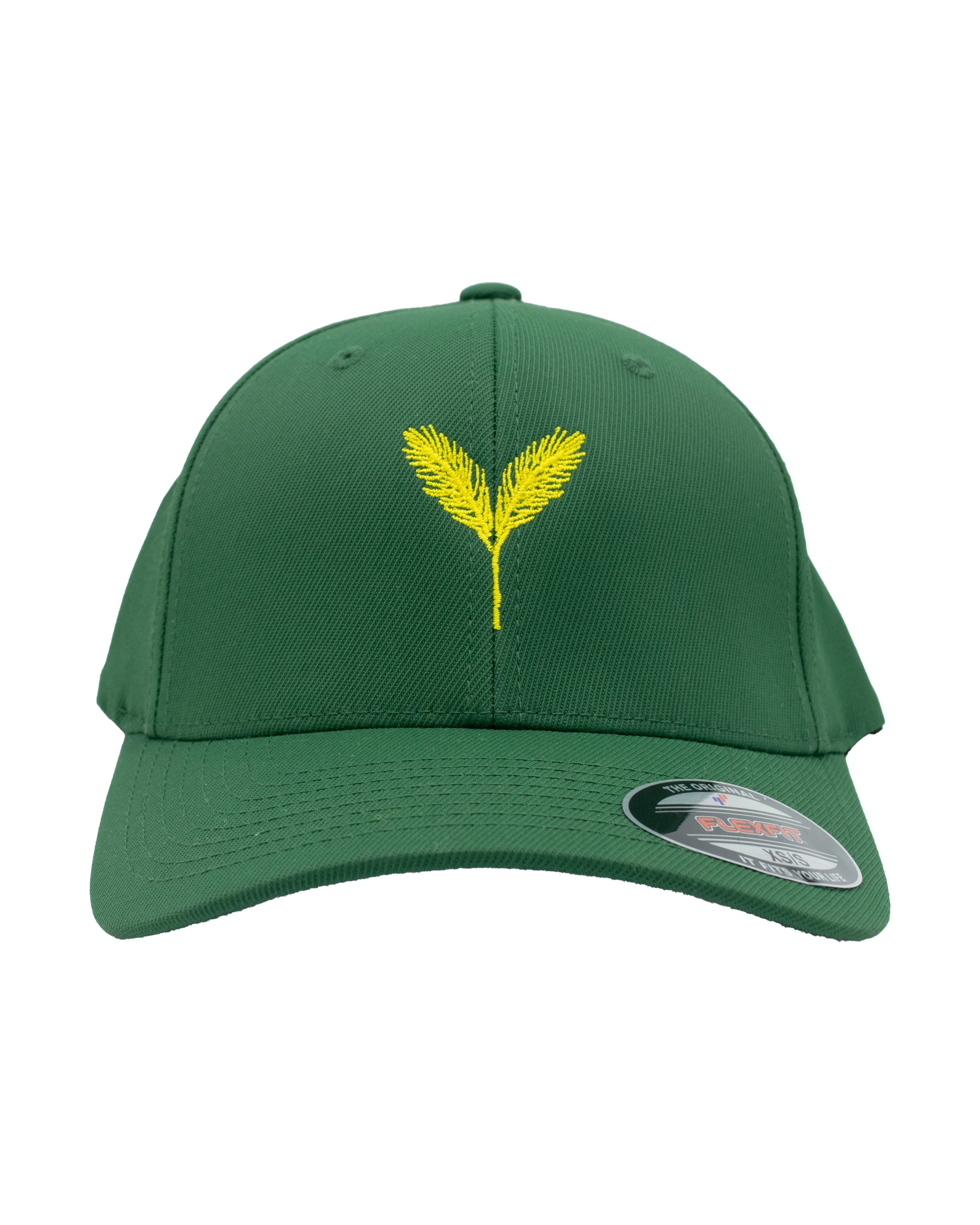 Men's Sport-Tek FlexFit Hat - Green