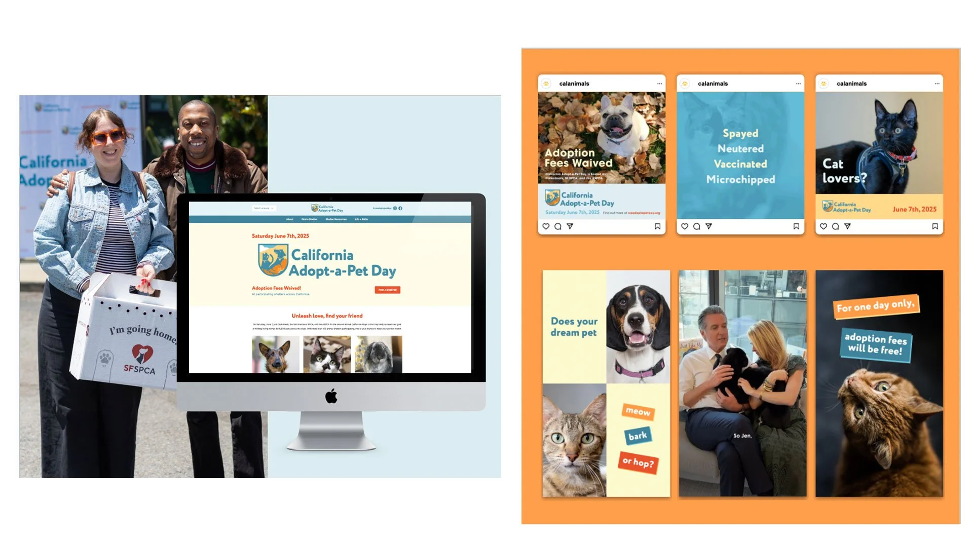  Powered by a partnership with the ASPCA and CalAnimals, we sent out the call to all of California, we launched a new brand, intuitive website, and statewide shelter toolkit making it easy for communities to rally around what we all love: helping she