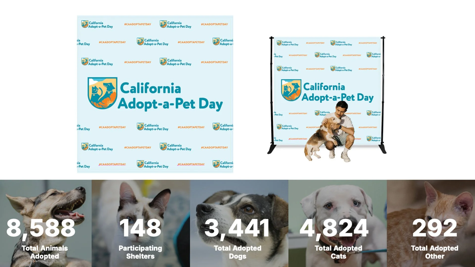  In its first year, the campaign generated 10 million+ impressions, 30,000+ shelter searches, and a $0.53 CPC, helping over 3,600 animals find homes and freeing space for 130 shelters to help more in need. 