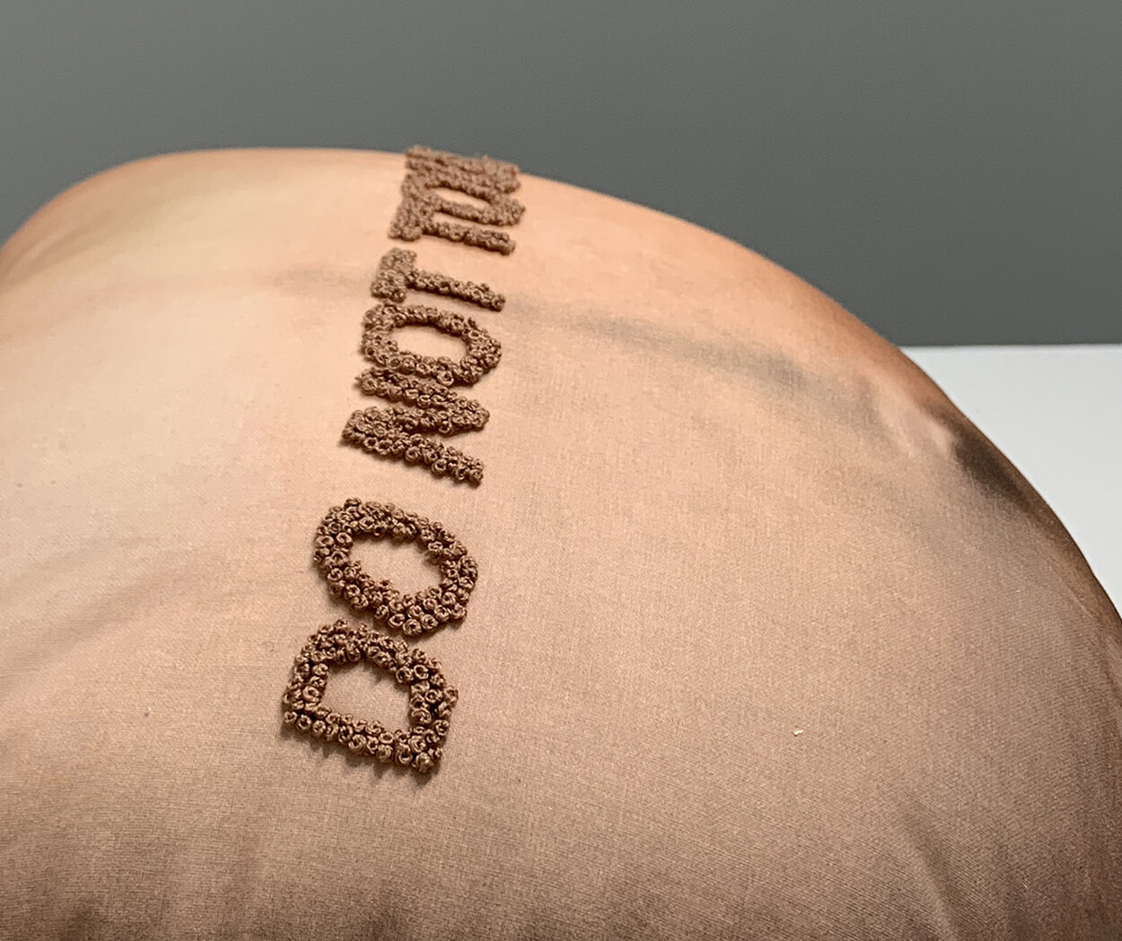 Zarse_SP20_crit1_DoNotTouch_detail.jpg