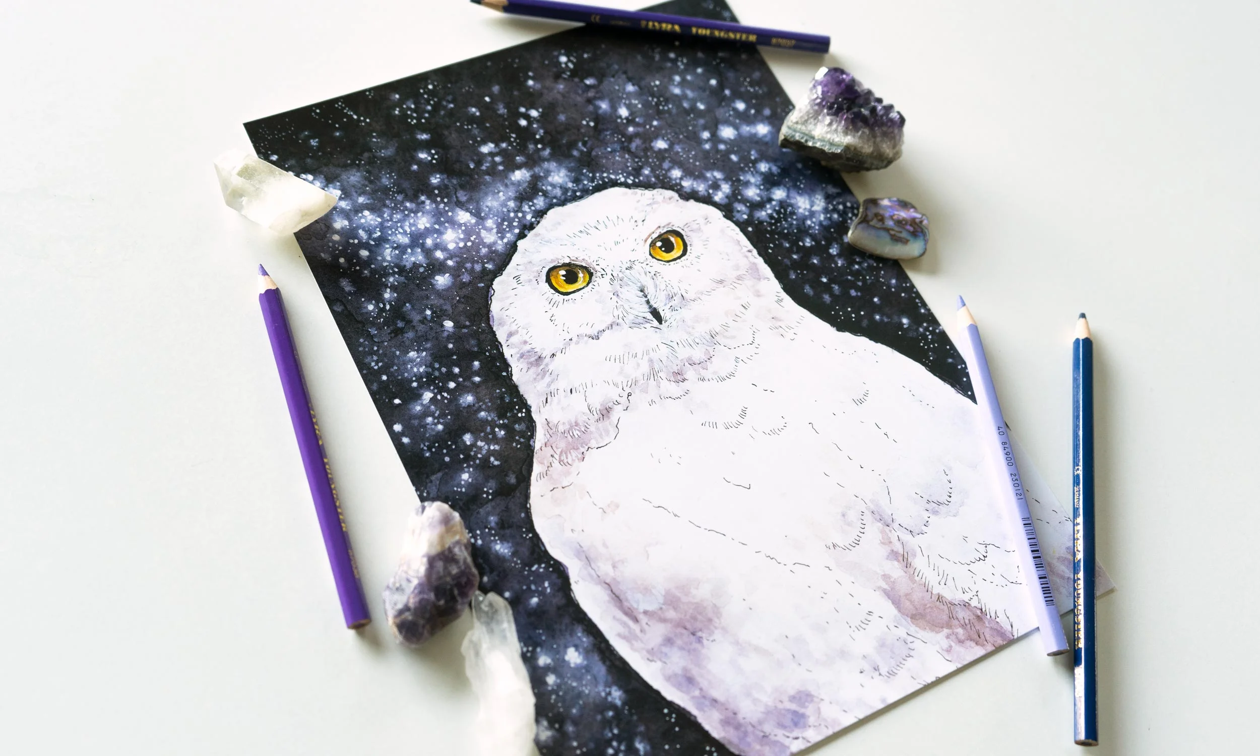 snowowl3.jpg