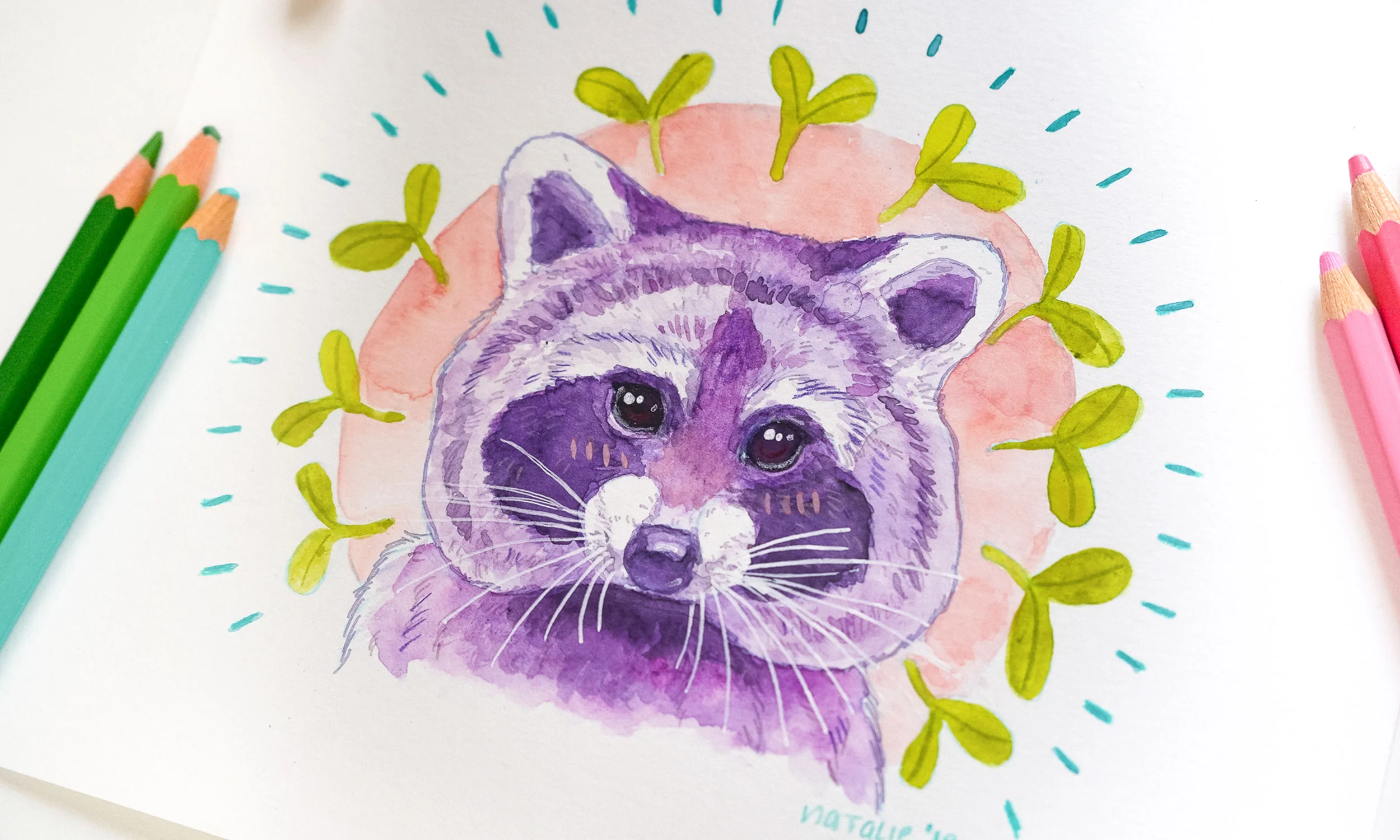racoonoriginal2.jpg