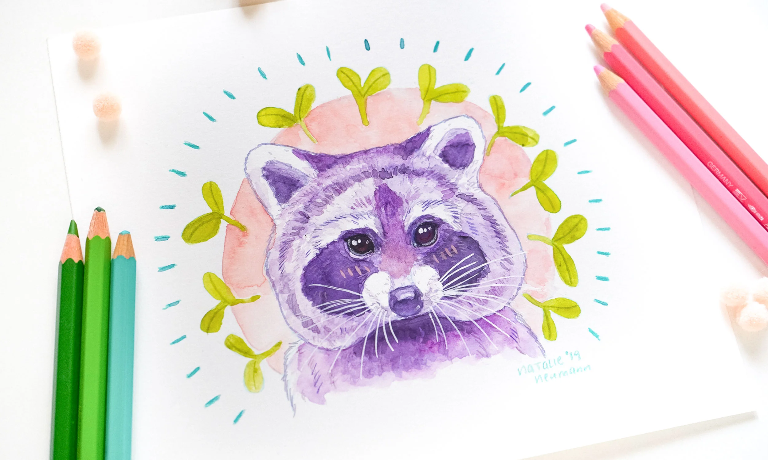 racoonoriginal4.jpg