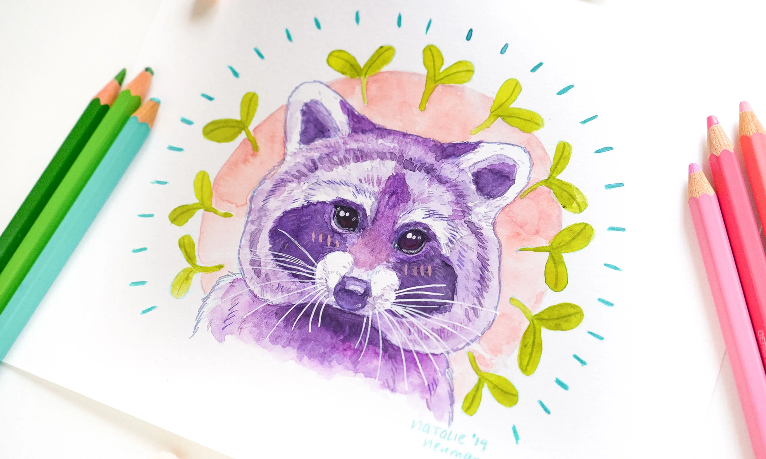 racoonoriginal3.jpg