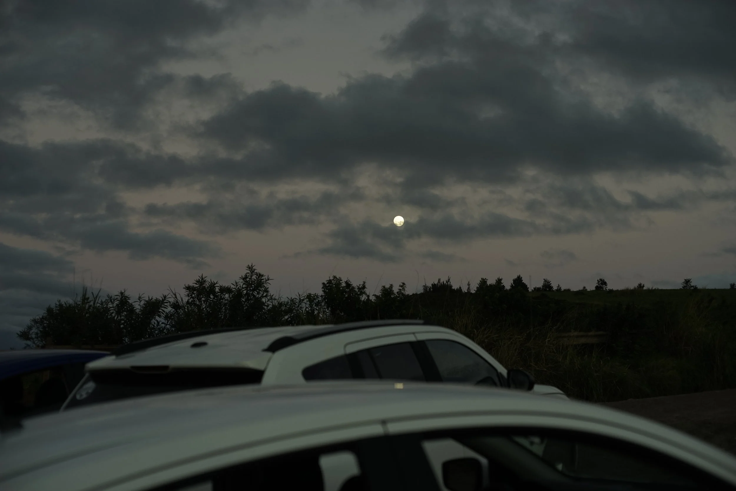 _DSC6784.JPG