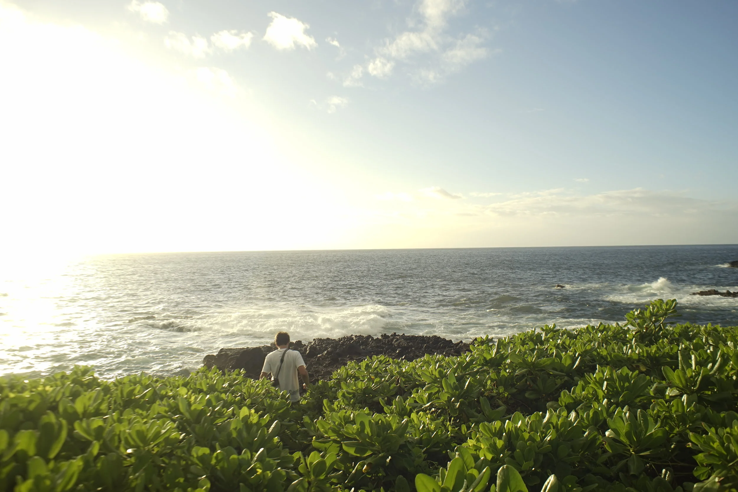 _DSC6945.JPG