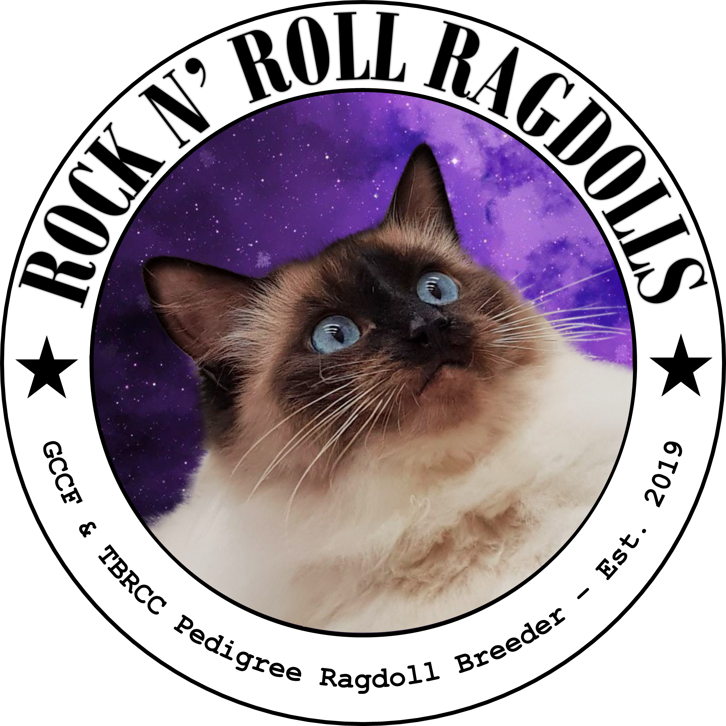 Rock N Roll Ragdolls